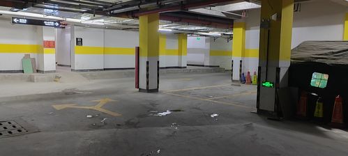 洛南县亚美清和苑小区停车费高 地库环境设备差
